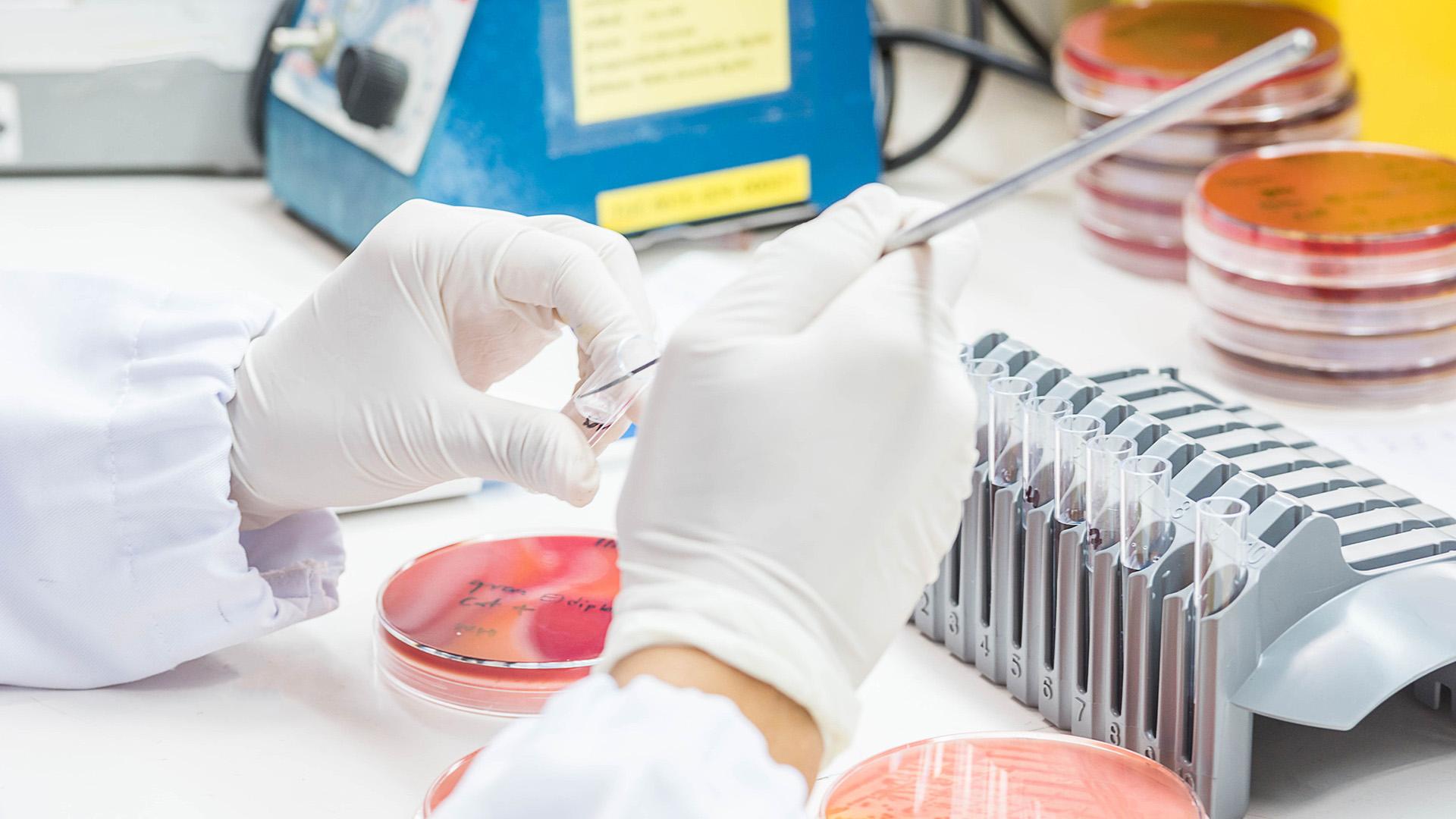 Decoding the dual-target advantage in emerging uUTI antibacterials